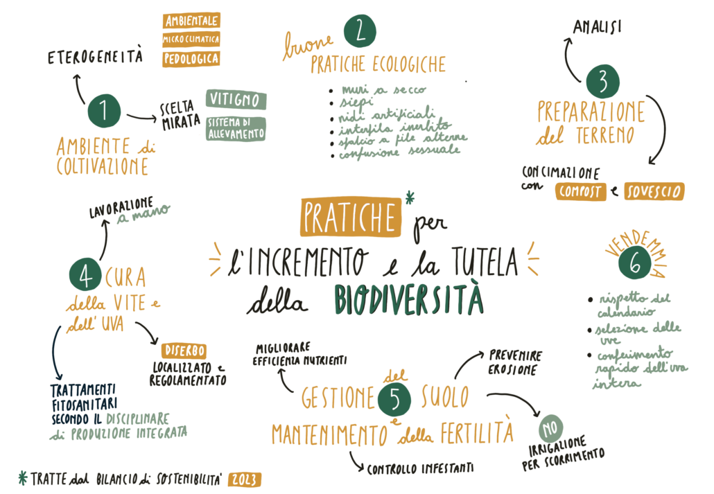 Buone pratiche per l'incremento e la tutela della biodiversità in vigneto