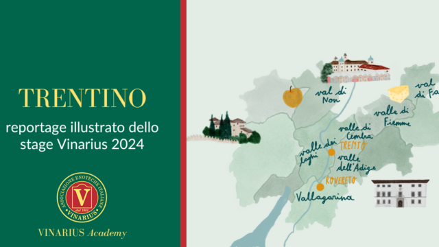 stage trentino 2024