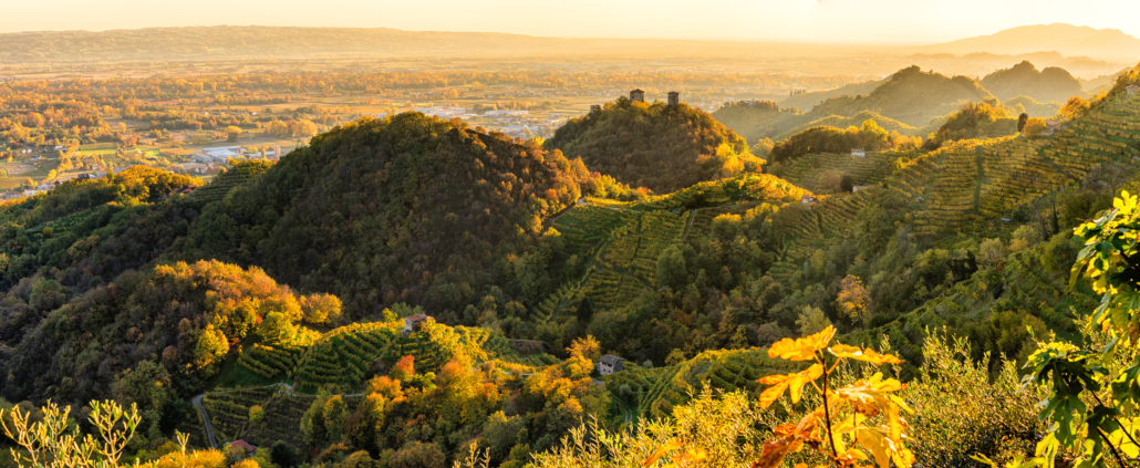 colline conegliano valdobiadene