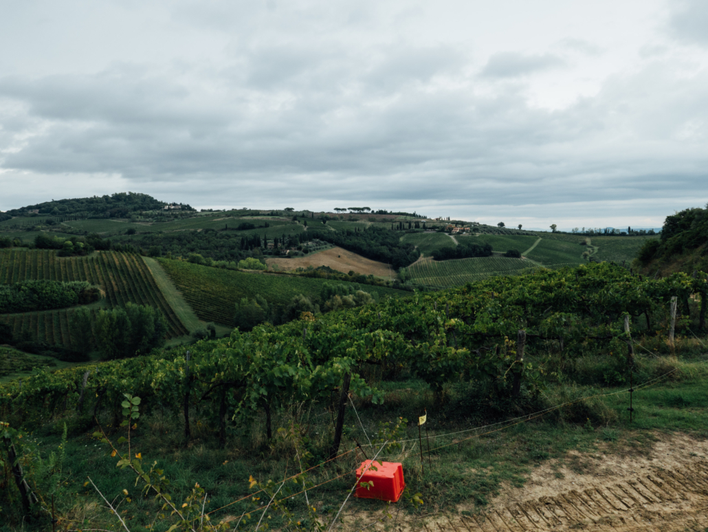 Il paesaggio di San Gimignano