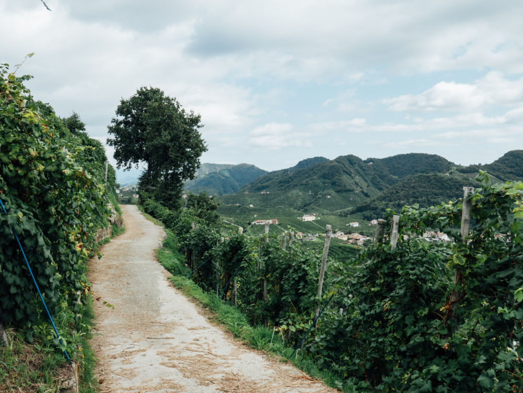 paesaggio Valdobbiadene