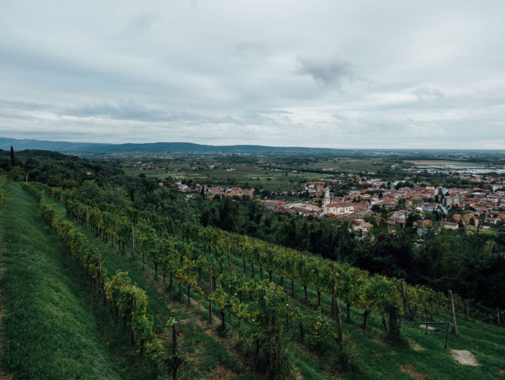 paesaggio Collio Cormons