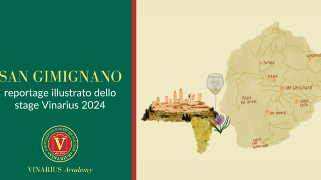 reportage illustrato san gimignano 2024