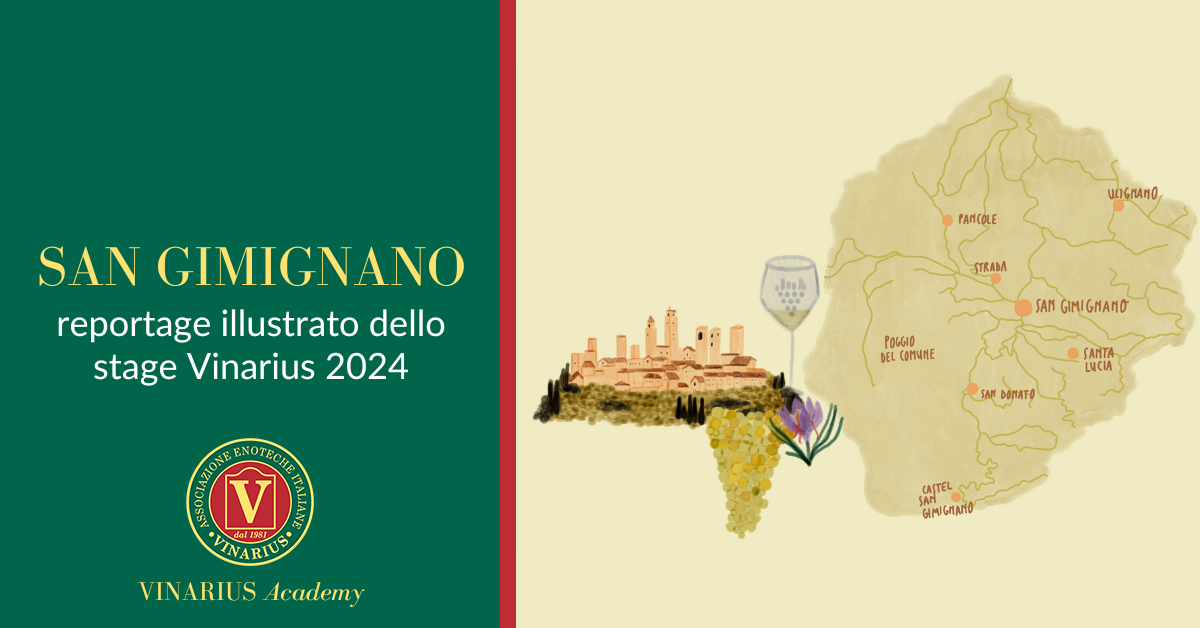 reportage illustrato san gimignano 2024